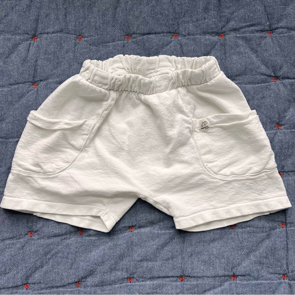 Zara shorts